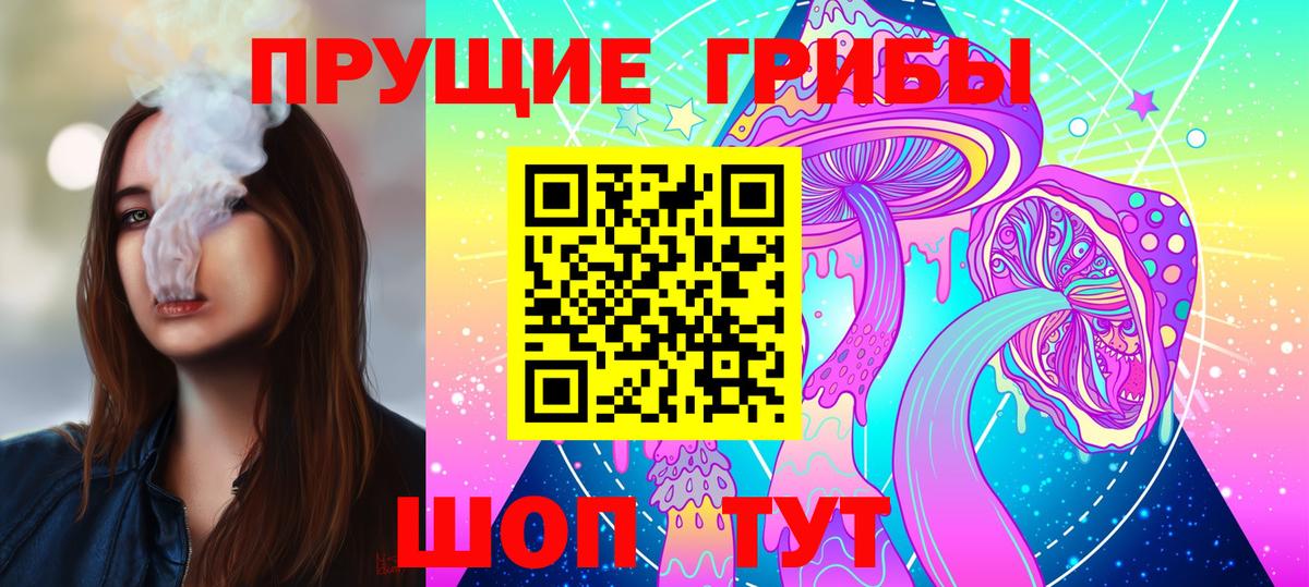 Псилоцибиновые грибы Psilocybine cubensis  Вход с VPN  Тимашёвск 